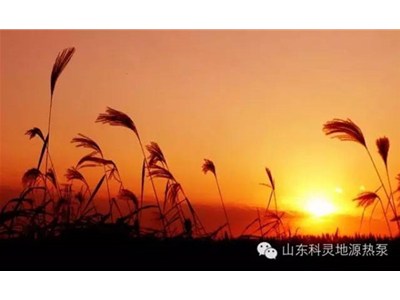 大愛初秋，醉美科靈